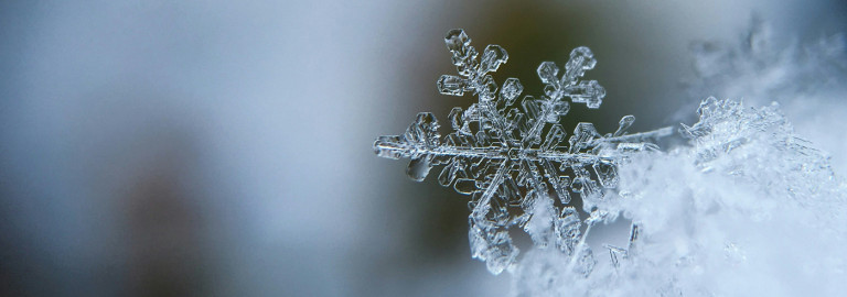 Winter und Eiskristall